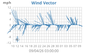 Wind Vector