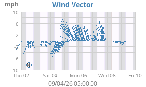 Wind Vector
